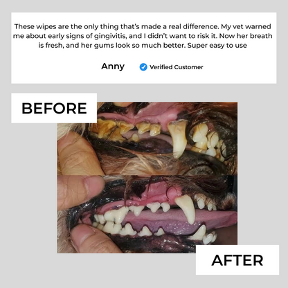 Natural Pet Dental Finger Wipes
