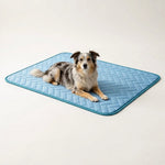 CoolNest Aura Mat