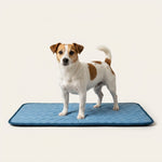 CoolNest Aura Mat image 3